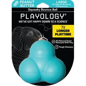 PLAYOLOGY All Natural Peanut Butter Scented Squeaky Bounce Ball Dog Toy Blue Large Chewy