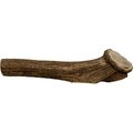 this and that Canine Company North Country Natural Shed Premium Whole Elk Antler Chew Dog Treat, Huge