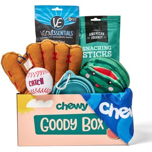 Goody Box Summer Dog Toys & Treats, Medium/Large