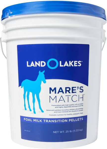 Land O'Lakes Mare’s Match Foal Milk Replacer Foal Transition Pellet Horse Supplement, 25-lb pail slide 1 of 1