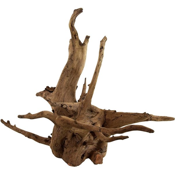 Underwater Treasures Eucalyptus Root Fish Wood