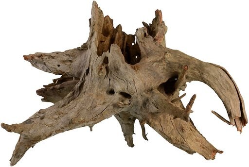 Underwater Treasures Eucalyptus Root Fish Wood, Medium