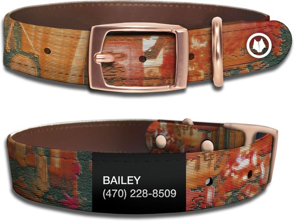 chewy dog collar