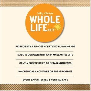 Whole Life Just One Salmon Value Pack Cat Soft & Chewy Treats, 7.5-oz bag