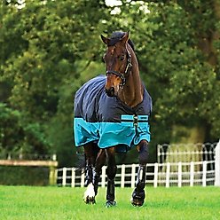 Horseware Ireland Mio Mediumweight Horse Turnout Sheet, 60-in
