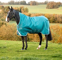 Horseware Ireland Amigo Bravo 12 Wug Lightweight Horse Turnout, 75-in