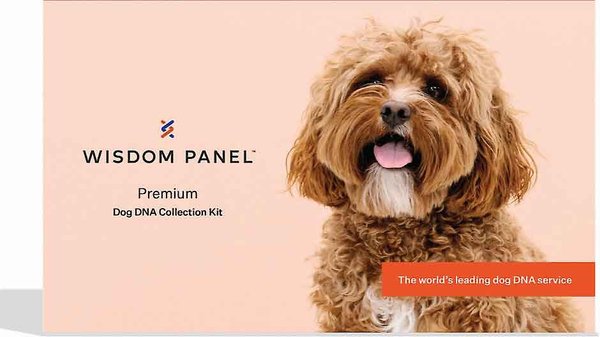 Wisdom Panel Premium Breed Identification & Health Condition Identification DNA Test for Dogs, 2 count slide 1 of 8