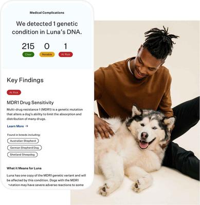 Show full view: Wisdom Panel Premium Breed Identification & Health Condition Identification DNA Test for Dogs, 2 count slide 3 of 10