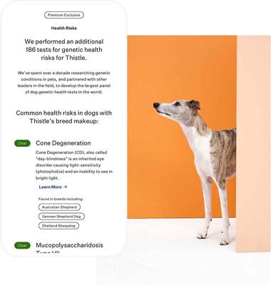 Show full view: Wisdom Panel Premium Breed Identification & Health Condition Identification DNA Test for Dogs, 2 count slide 4 of 10