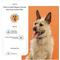 Show in main carousel: Wisdom Panel Premium Breed Identification & Health Condition Identification DNA Test for Dogs, 2 count slide 5 of 10