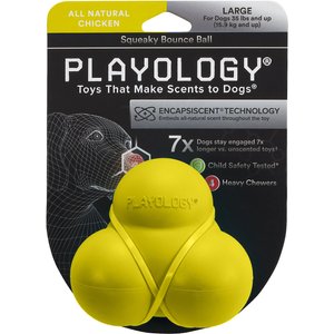 Playology All Natural Chicken Scented Squeaky Dog Bounce Ball, Yellow, Large