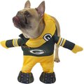 Modern Hero NFL Running Dog Costume, Green Bay Packers, X-Small