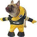 Modern Hero NFL Running Dog Costume, Green Bay Packers, X-Large
