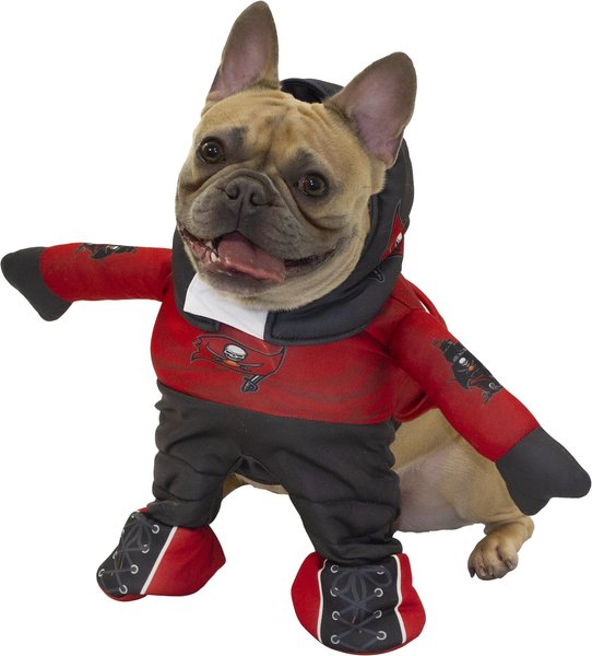 Modern Hero NFL Running Dog Costume, Tampa Bay Bucs, Small slide 1 of 3