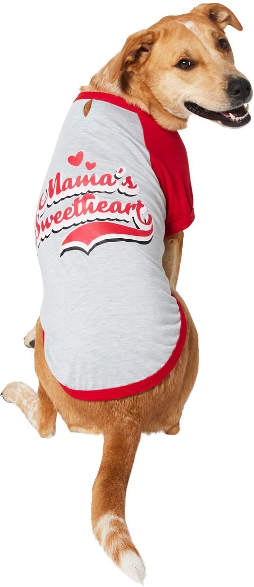 Frisco Momma's Lil Sweetheart Dog & Cat Dress