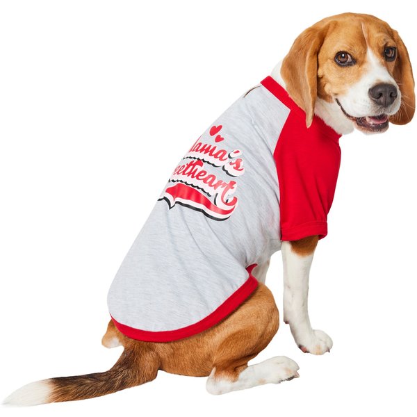 Chewy dog outlet shirts