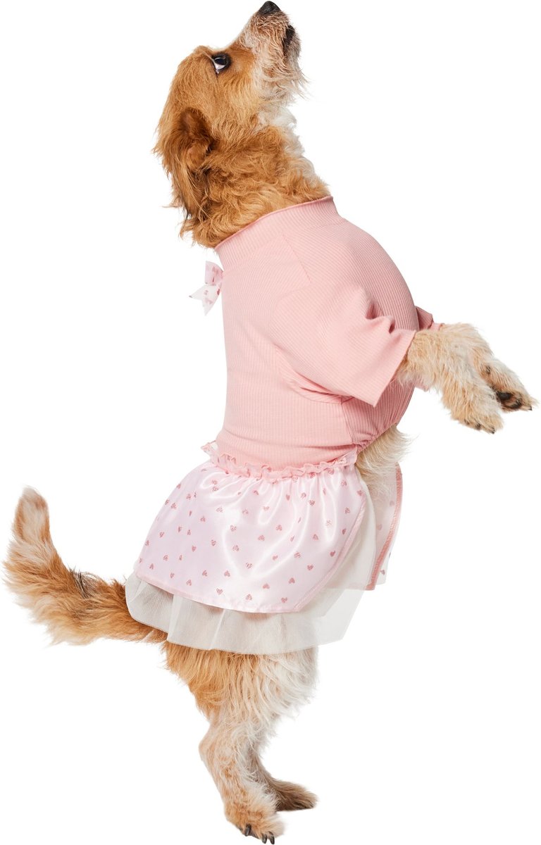 Tulle Hearts Dog Dress