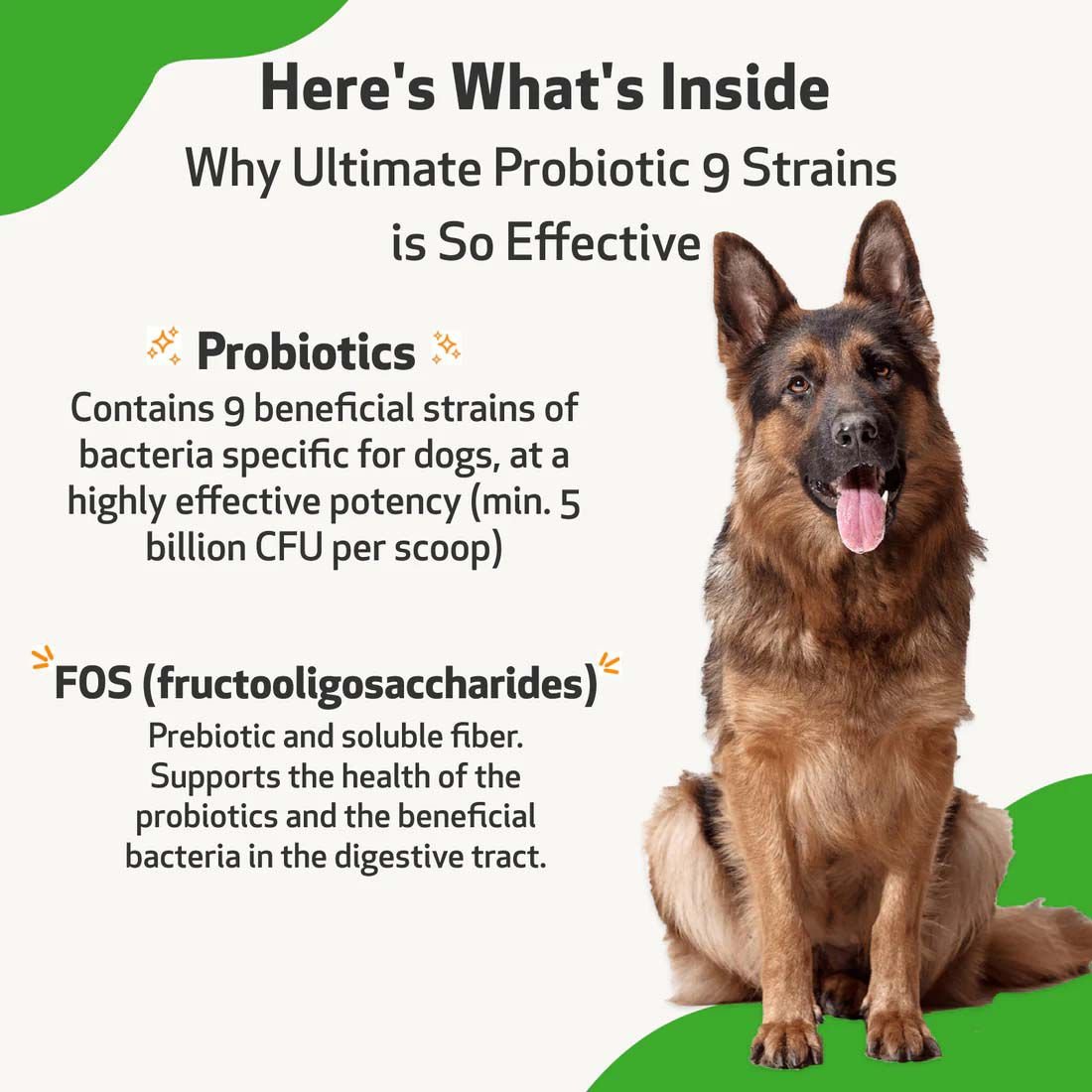 Pet ultimates outlet probiotics for dogs