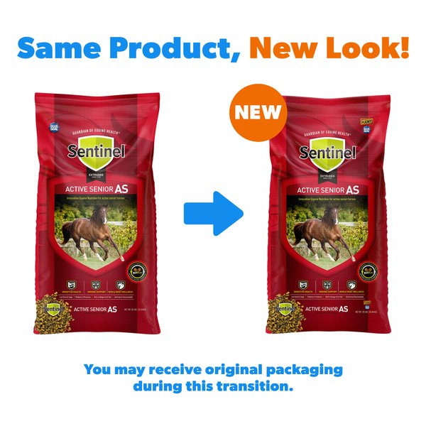KENT / BLUE SEAL Sentinel Active Senior Horse Feed, 50-lb bag - Chewy.com