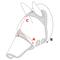 Show in main carousel: Shires Equestrian Products Stretch Zipper Horse Fly Mask, Small Pony slide 3 of 3
