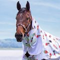 Shires Equestrian Products Tempest Original Horse Neck Cover, Ice Cream, Large