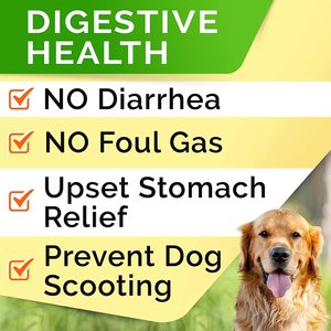 StrellaLab Dog Probiotics Enzymes Prebiotics Fiber Digestive Supplement, 120 count