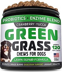 StrellaLab Green Grass Digestion & Urinary Health Chews Dog Supplement, 120 count
