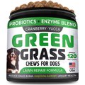 StrellaLab Green Grass Digestion & Urinary Health Chews Dog Supplement, 120 count