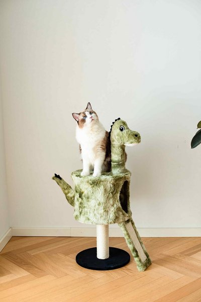 Catry 34-in Dinosaur Design with Sisal Scratching Post Cat Tree, Green slide 1 of 9