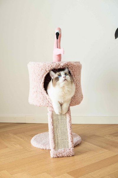 Catry 32-in Flamingo Design with Sisal Scratching Post Cat Tree, Pink slide 1 of 9