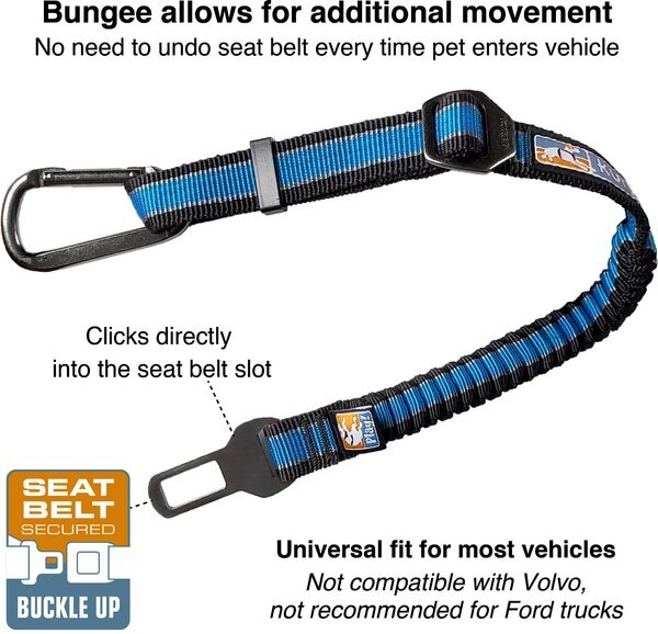 Kurgo Direct to Seatbelt Bungee Tether Dog Safety Belt, Blue