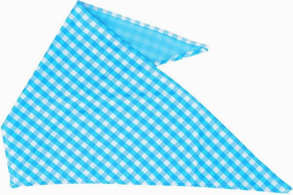 Boulevard Personalized Remy Gingham Dog Bandana