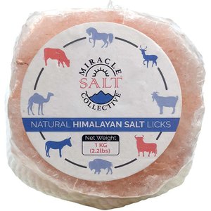 Miracle Salt Collective Natural Himalayan Salt Lick, 2-lb block