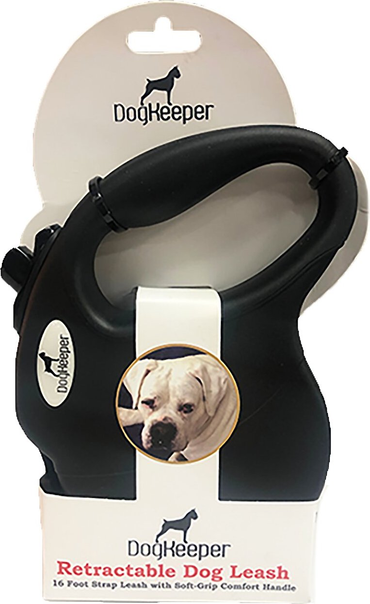 chewy retractable dog leash