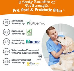 Zesty Paws Vet Prebiotic, Probiotic, & Postbiotic Digestive Dog Vitamins, 90 Count slide 2 of 6