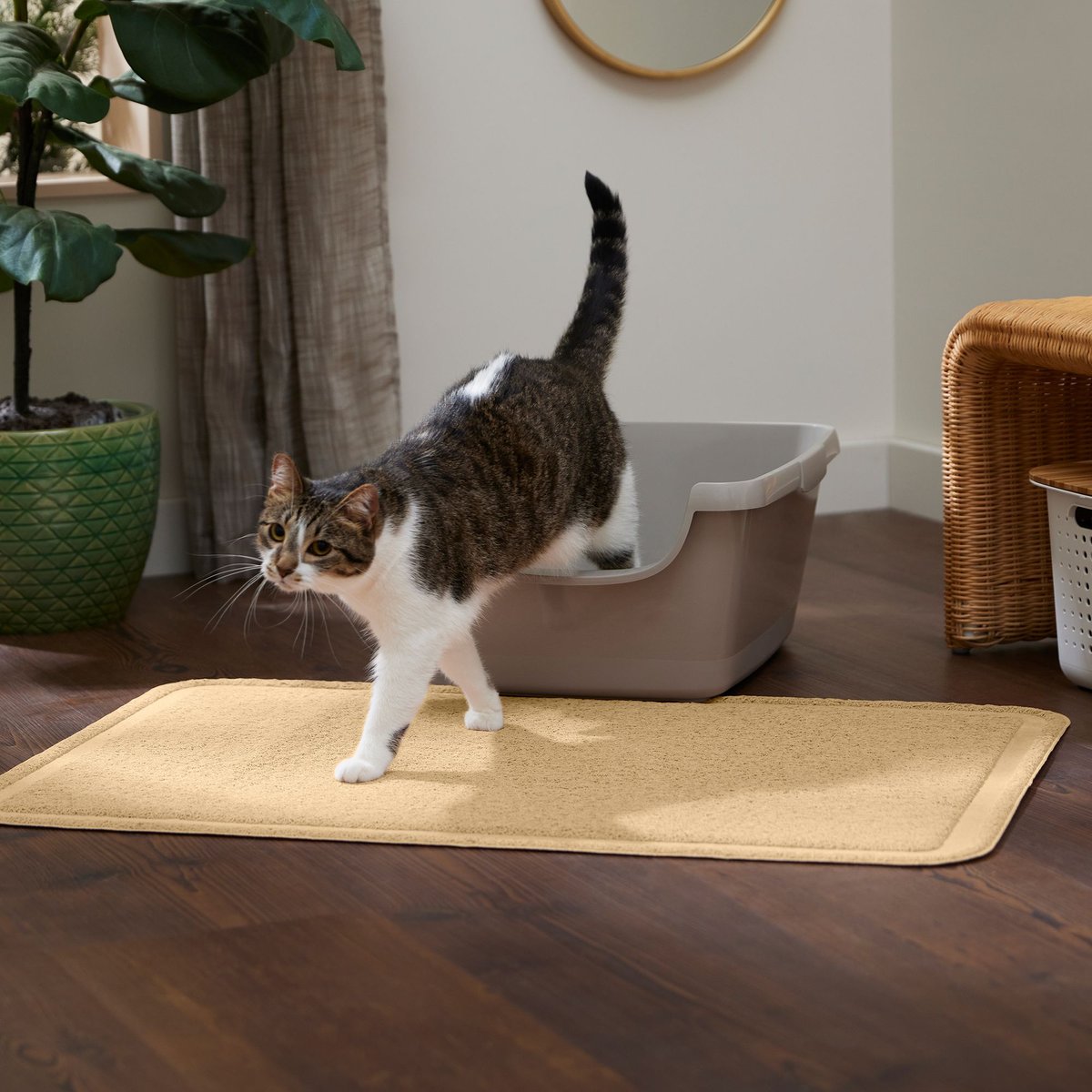 Cat litter outlet box mat large