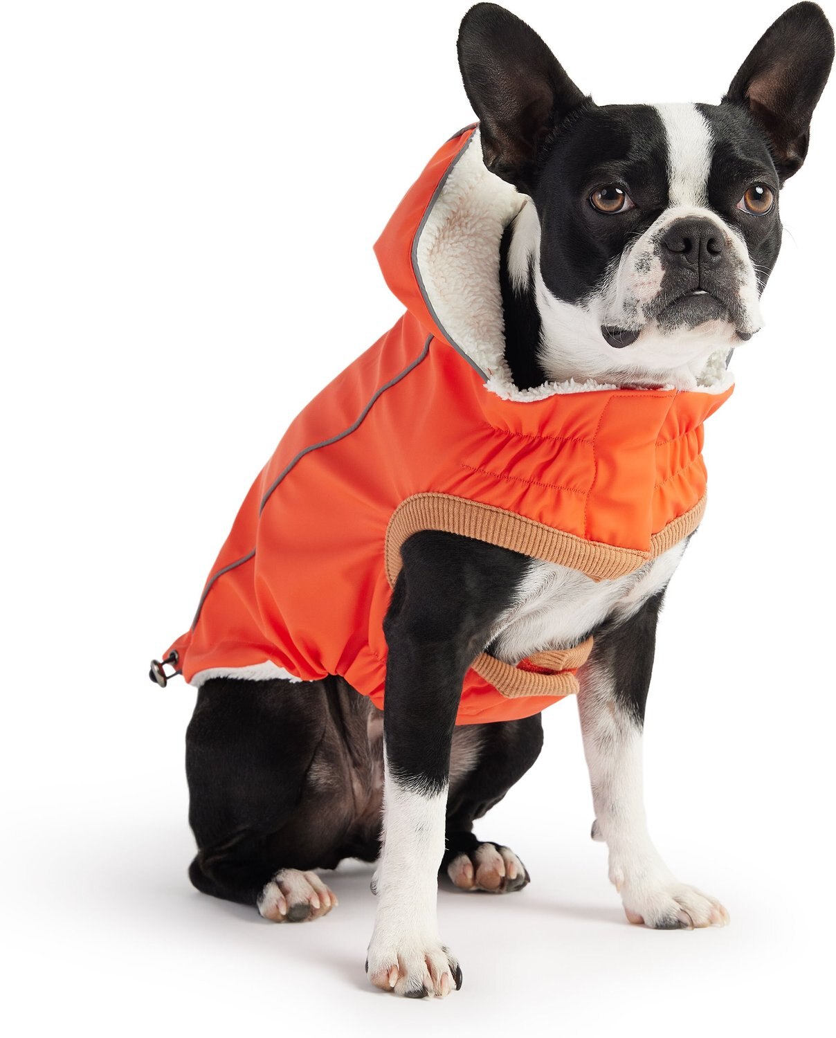 Dallas Cowboys Water Resistant Reflective Pet Jacket