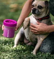 Dexas Popware for Pets Dexas MudBuster Portable Dog Paw Cleaner, Fuchsia, Petite slide 2 of 2