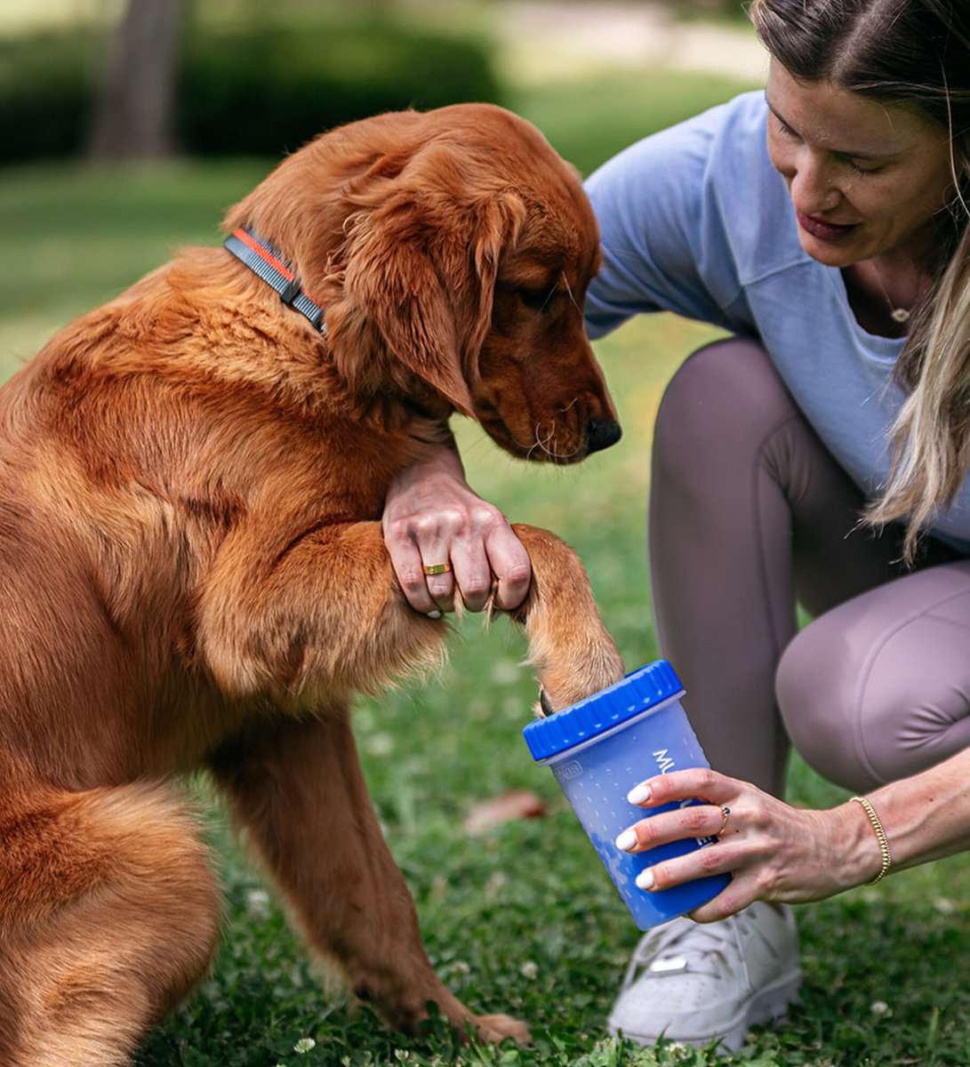 Chewy paw hot sale cleaner