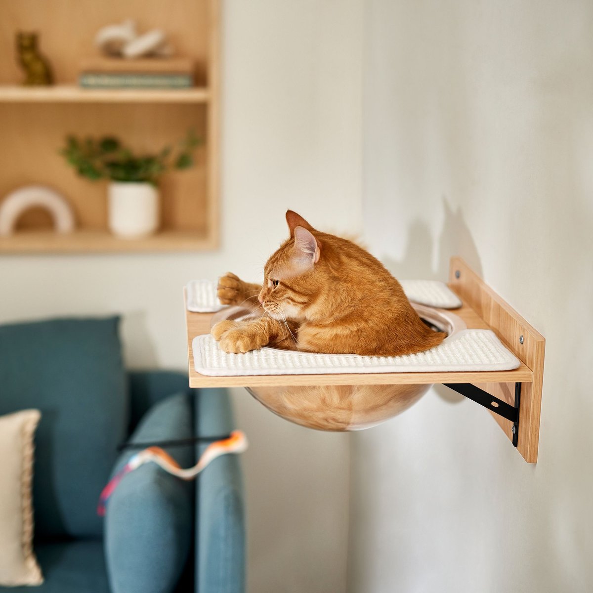 Wall mounted outlet cat condo