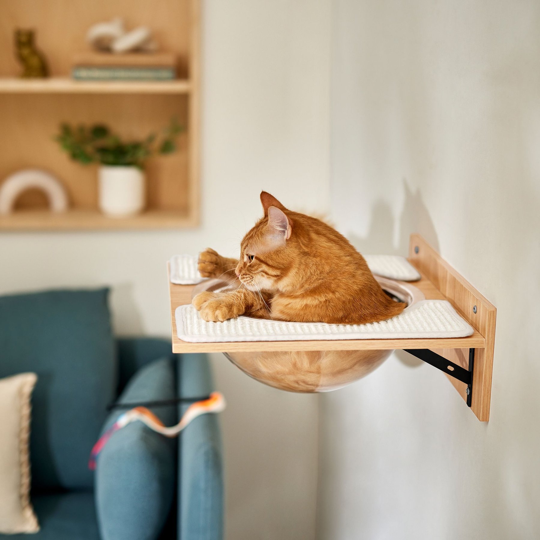 Wall-Mounted Cat Feeding/Feeder Shelf