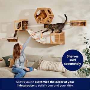 No Drill Cat Shelf in 2022 — Best Cat Review