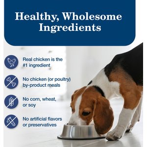 Blue Buffalo Homestyle Recipe Chicken Dinner with Garden Vegetables & Brown Rice Canned Dog Food, 12.5-oz, case of 12