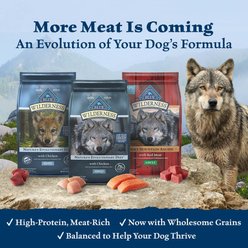 Blue Buffalo Wilderness Duck Recipe Grain-Free Dry Dog Food, 11-lb bag slide 2 of 9
