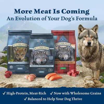 Show full view: Blue Buffalo Wilderness Chicken Recipe Grain-Free Dry Dog Food, 11-lb bag slide 3 of 11