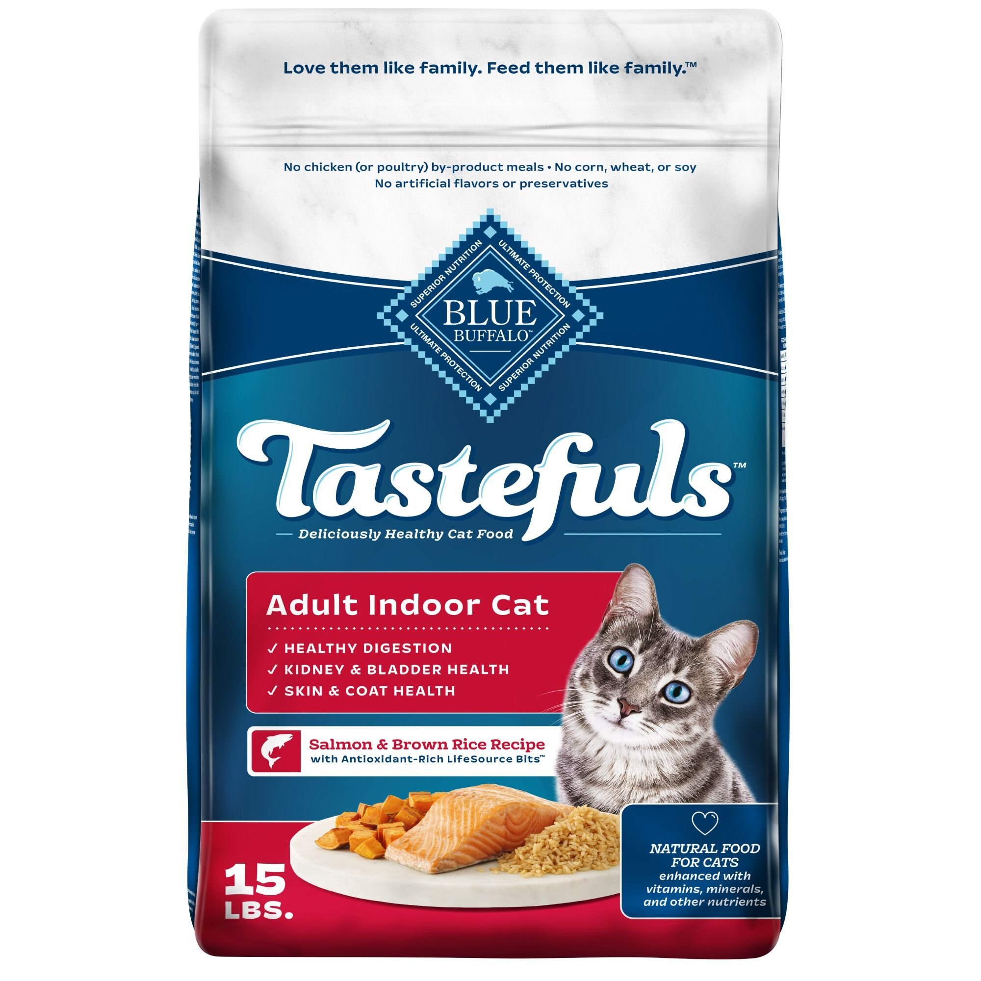 AvoDerm Natural Salmon & Brown Rice Formula Adult Dry Cat Food