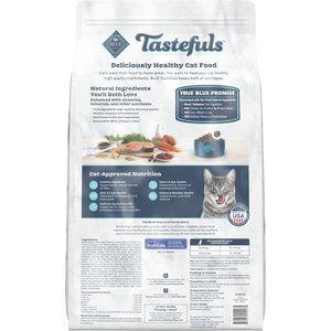 Blue Buffalo Tastefuls Indoor Natural Salmon & Brown Rice Adult Dry Cat Food, 15-lb bag