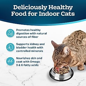 Blue Buffalo Tastefuls Indoor Natural Salmon & Brown Rice Adult Dry Cat Food, 15-lb bag