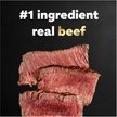Cesar Classic Butcher's Select Dry-Aged Ribeye Flavor & Filet Mignon Flavor Loaf in Sauce Variety Pack Wet Dog Food, 3.5-oz tray, case of 24