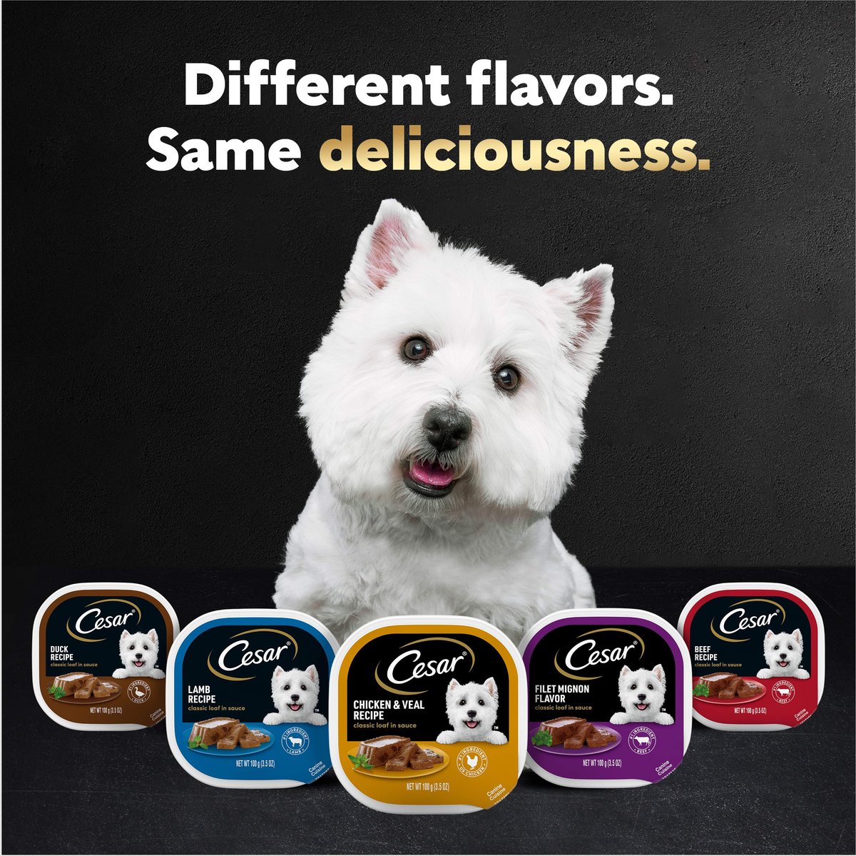 Cesar dog food outlet for puppies